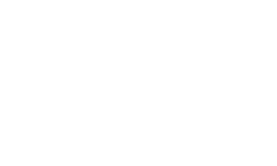 Ensures Accountability Develops Talent Values Differences Drives Engagement Organizational Savvy Courage